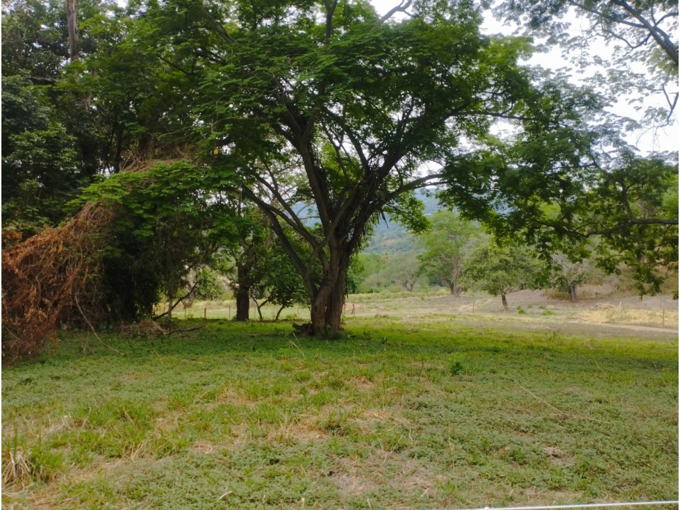 Venta De Lote En Parcelación Sopetran — foto 4