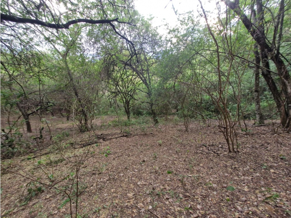 Venta De Lote En Sopetran