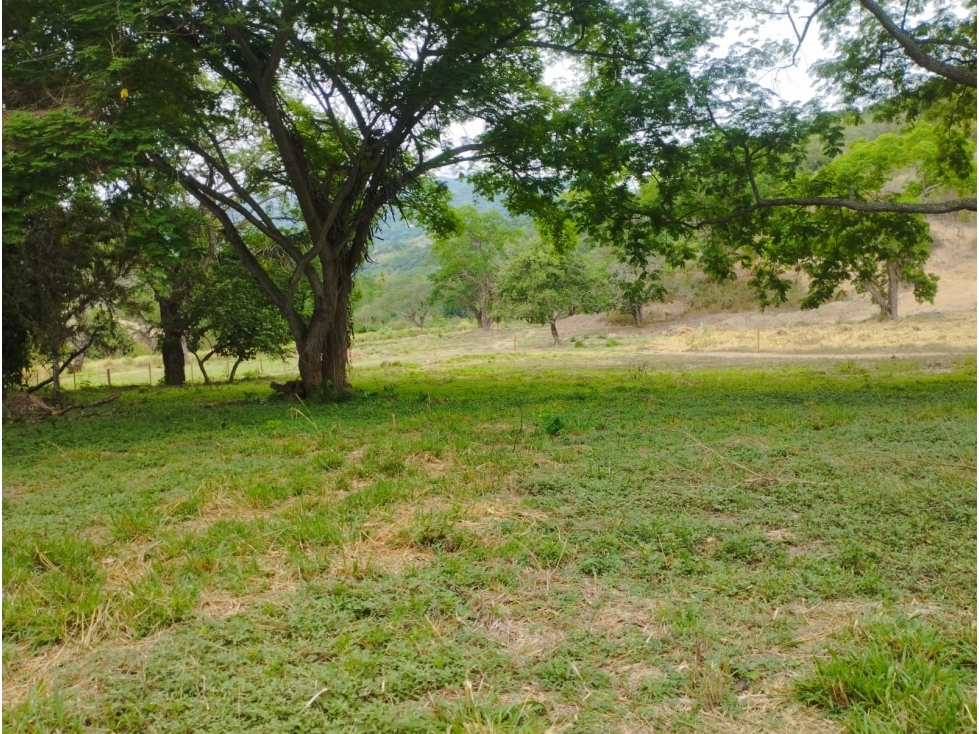 Venta De Lote En Parcelación Sopetran — foto 5