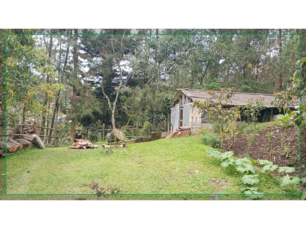 VENDO FINCA EN SANTA ELENA VEREDA PIEDRA GORDA — foto 2