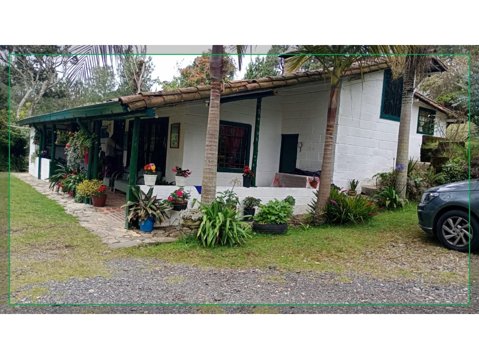 VENDO FINCA EN SANTA ELENA VEREDA PIEDRA GORDA — foto 5