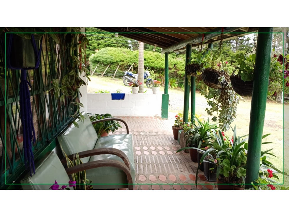 VENDO FINCA EN SANTA ELENA VEREDA PIEDRA GORDA — foto 6