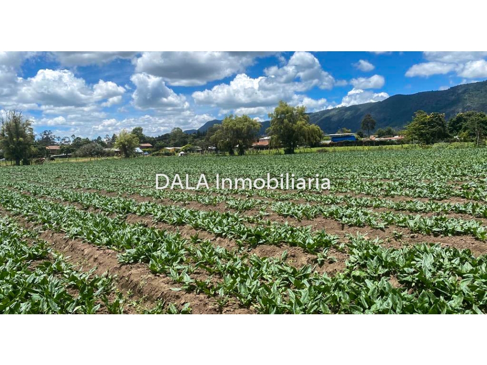 SE VENDE LOTE EN CHIA VD LA BALSA, INMOBILIARIAS CHÍA — foto 5