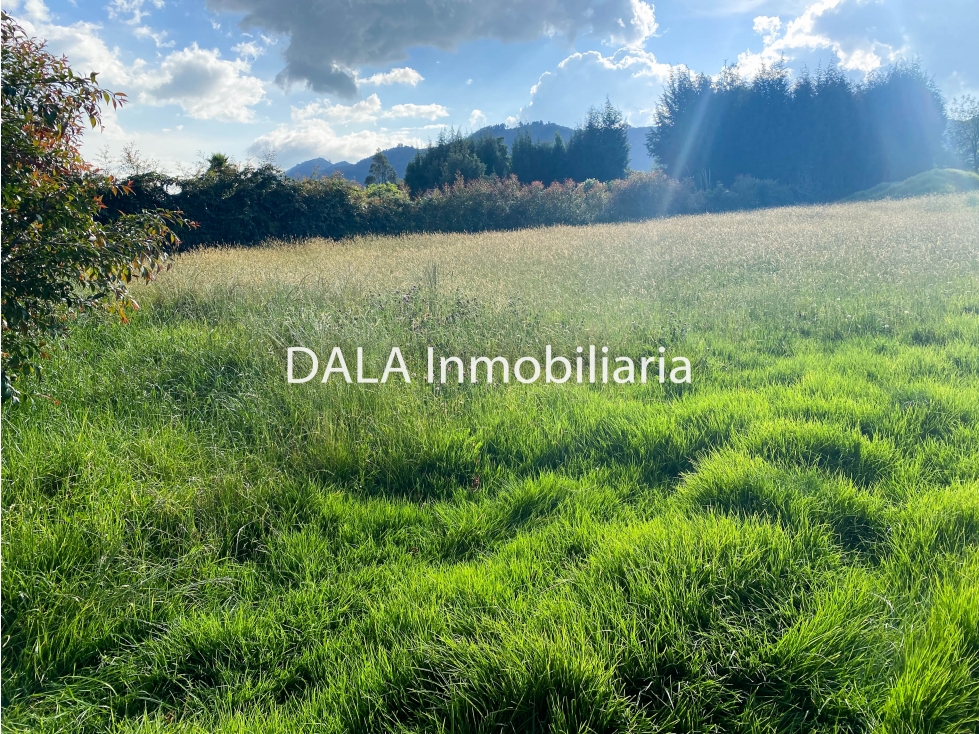 SE VENDE LOTE EN CHIA, VEREDA FAGUA. INMOBILIARIAS CHÍA — foto 5