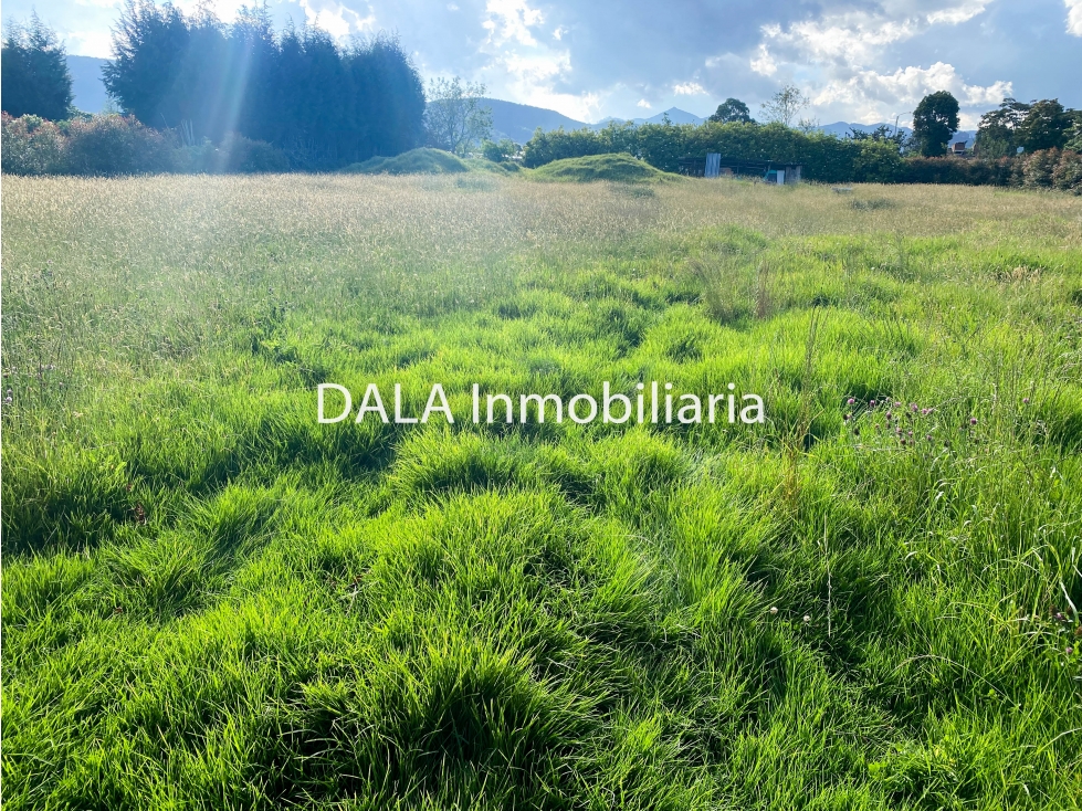 SE VENDE LOTE EN CHIA, VEREDA FAGUA. INMOBILIARIAS CHÍA — foto 6