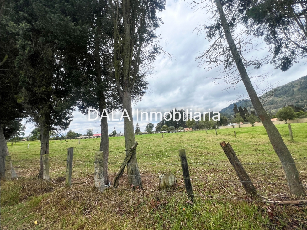 SE VENDE LOTE EN LA VEREDA FONQUETA EN CHIA — foto 4
