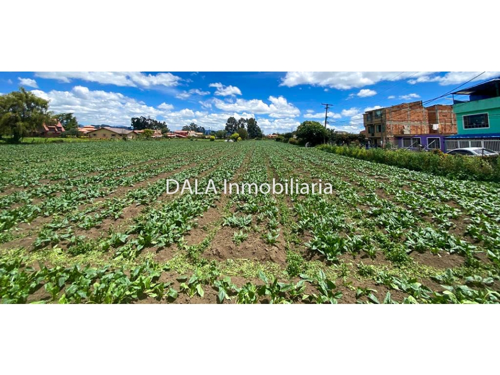 SE VENDE LOTE EN CHIA VD LA BALSA, INMOBILIARIAS CHÍA — foto 2