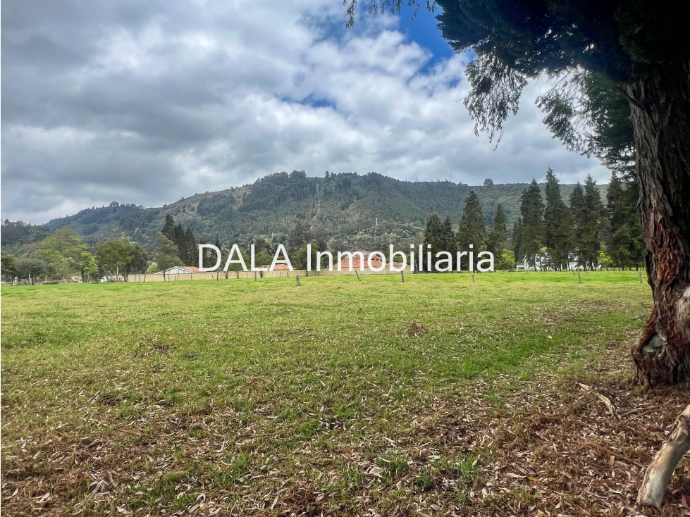 SE VENDE LOTE EN LA VEREDA FONQUETA EN CHIA — foto 5