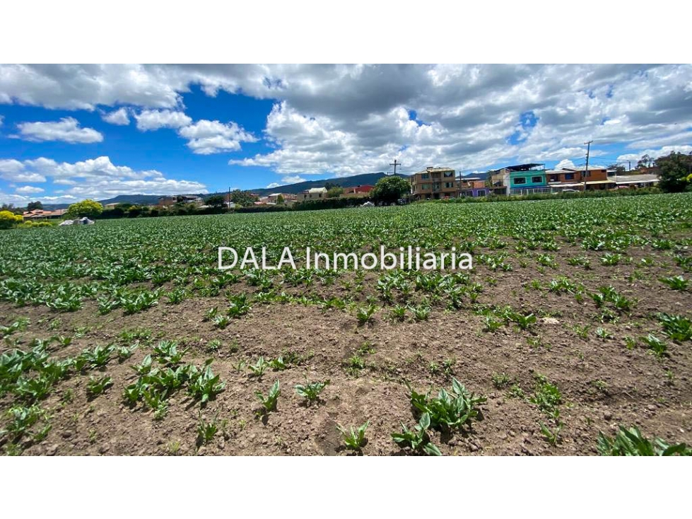 SE VENDE LOTE EN CHIA VD LA BALSA, INMOBILIARIAS CHÍA