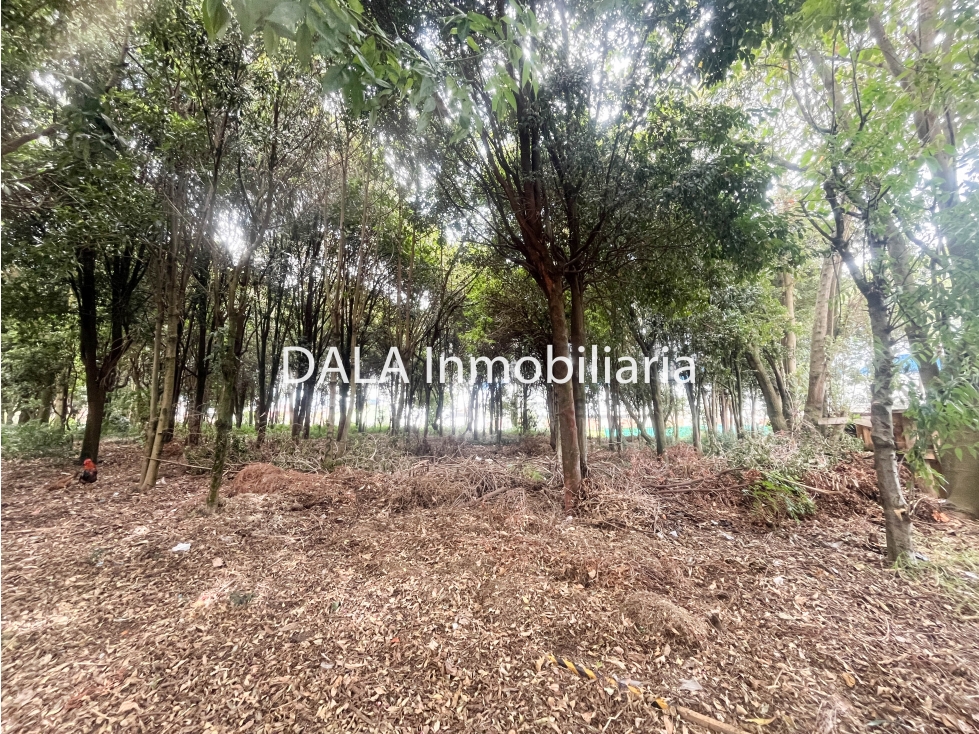 SE VENDE LOTE EN CHIA VEREDA SAMARIA, INMOBILIARIAS CHÍA — foto 5