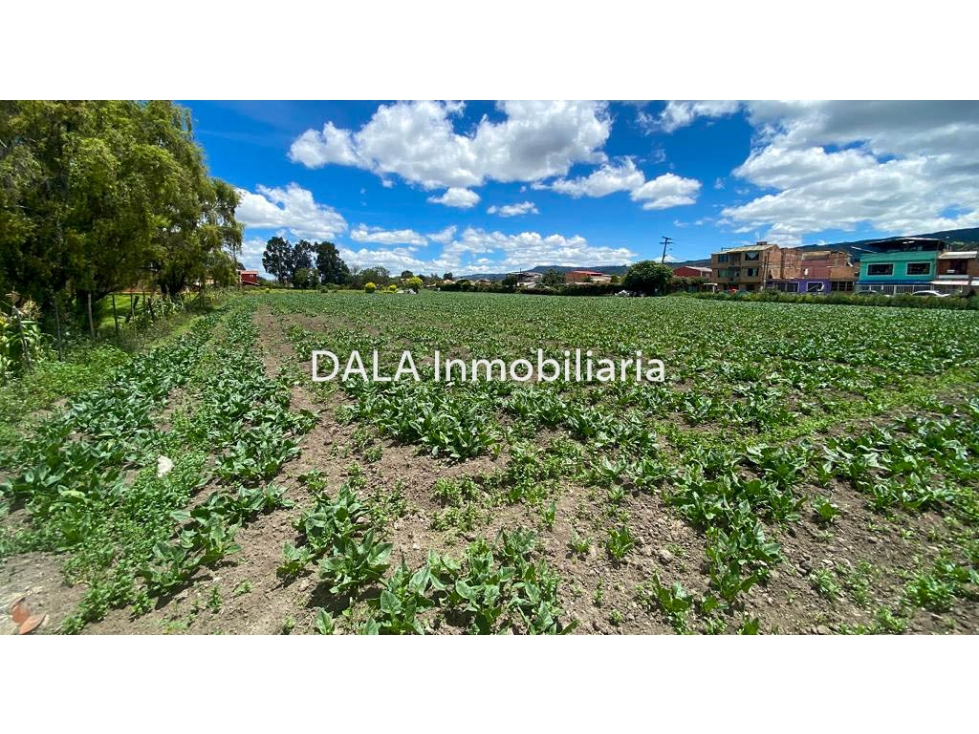 SE VENDE LOTE EN CHIA VD LA BALSA, INMOBILIARIAS CHÍA — foto 3