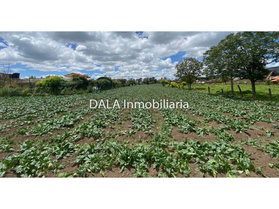 SE VENDE LOTE EN CHIA VD LA BALSA, INMOBILIARIAS CHÍA — foto 4