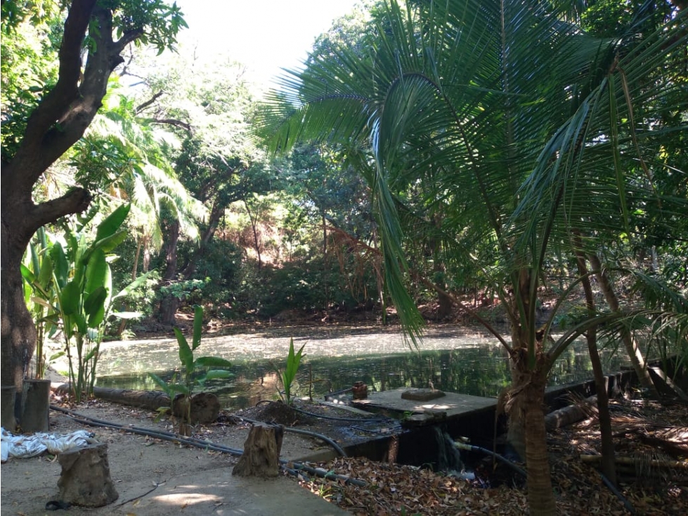 Predio en venta | Bonda Santa Marta — foto 5
