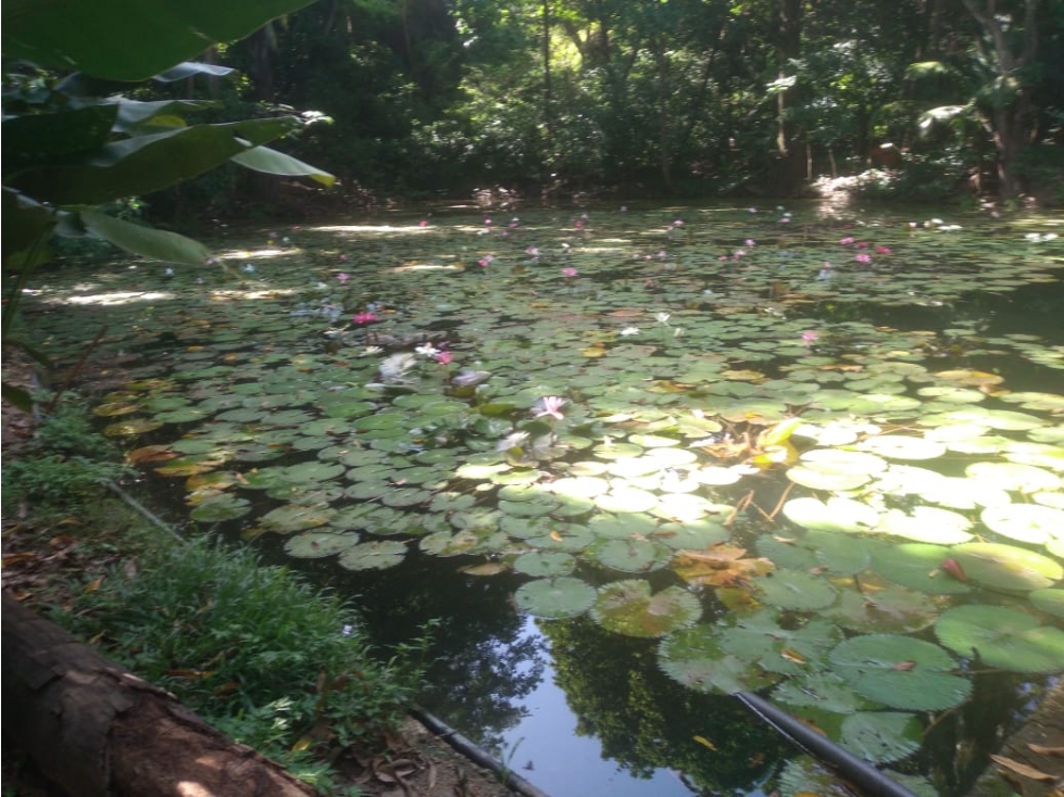 Predio en venta | Bonda Santa Marta — foto 6