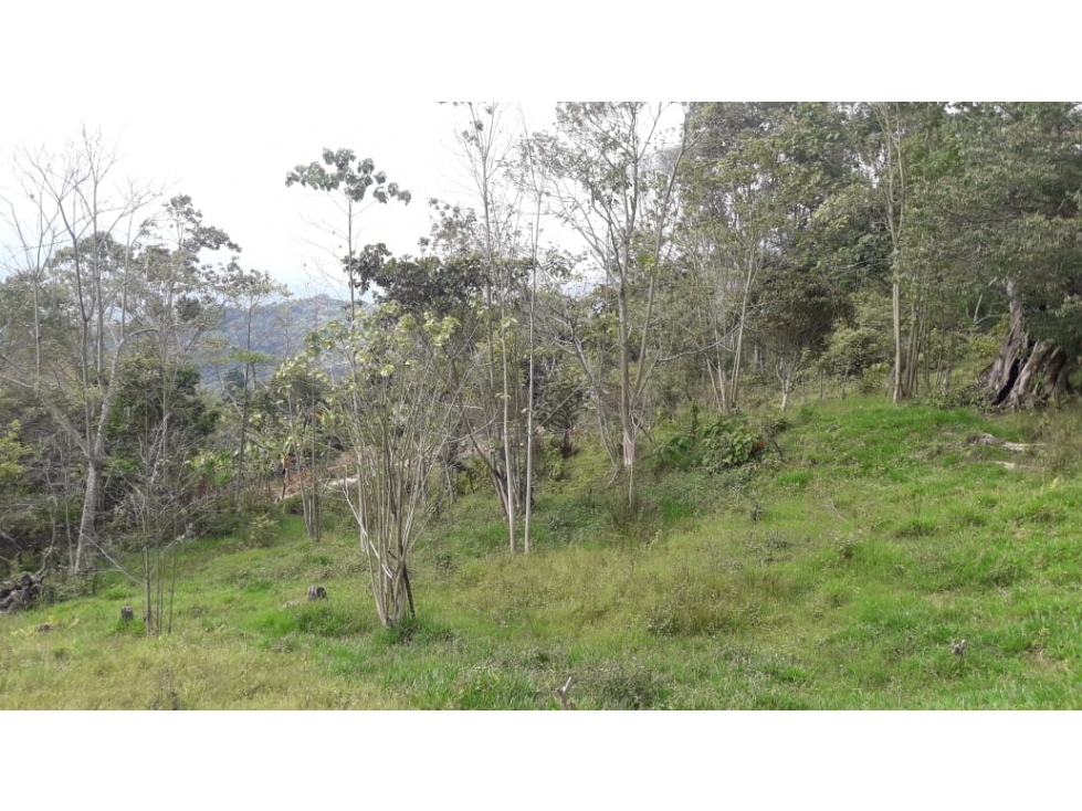 Se vende exclusivo Lote de 5.609,51 m2 - Silvania, Cund. - 6