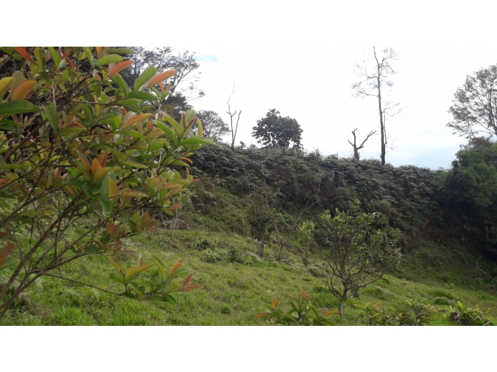 Se vende exclusivo Lote de 5.609,51 m2 - Silvania, Cund. - 2