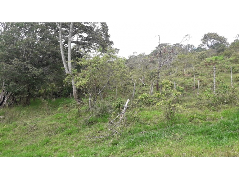 Se vende exclusivo Lote de 5.609,51 m2 - Silvania, Cund. - 3