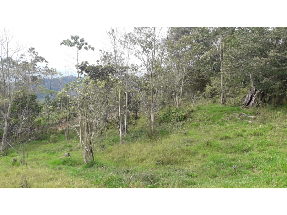 Se vende exclusivo Lote de 5.609,51 m2 - Silvania, Cund. - 4