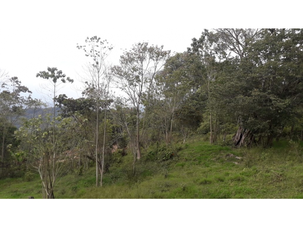 Se vende exclusivo Lote de 5.609,51 m2 - Silvania, Cund. - 5