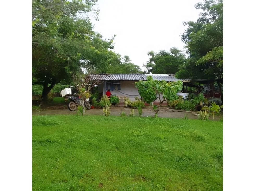 INVERSION A LA VISTA - LOTE BARRANQUILLA/CARTAGENA 10 HECTAREAS - 2