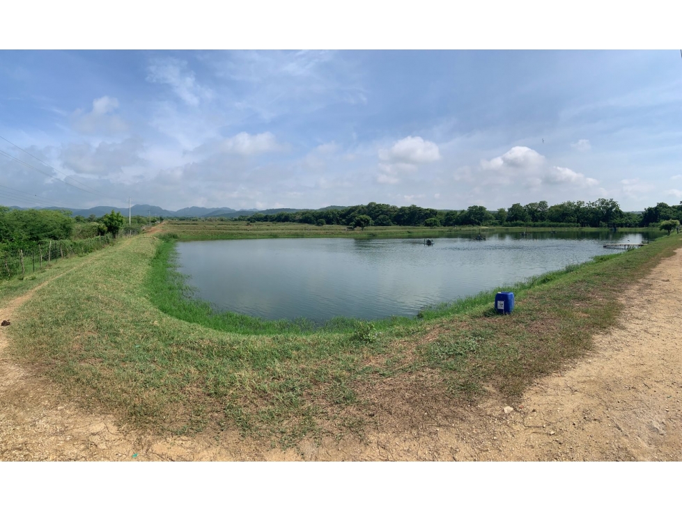 INVERSIÓN ACUÍCOLA EXCEPCIONAL-VENTA en REPELON - RENTANDO - 2