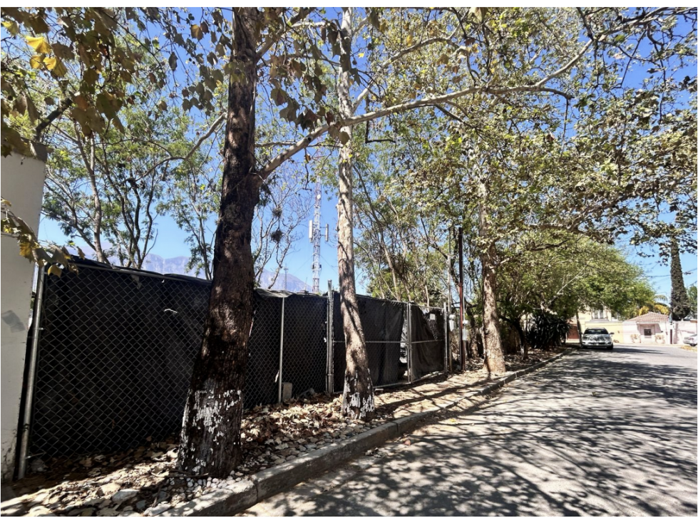 Terreno en Venta sobre Carretera Nacional, Monterrey Nuevo León - 2