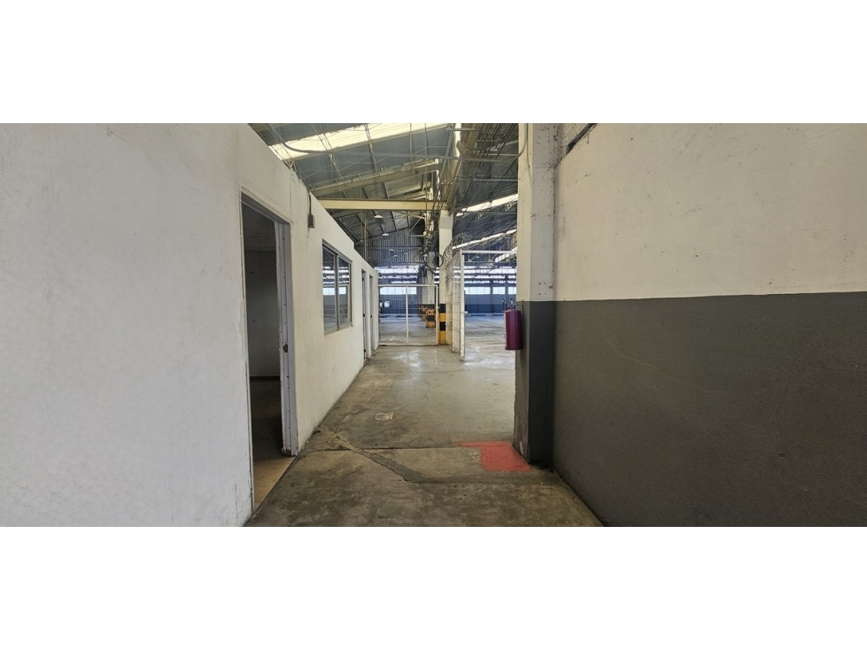 Nave en Renta en Blvd Diaz Ordaz, San Pedro GG / Santa Catarina, NL - 4