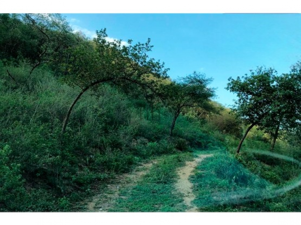 Terreno en venta en Barrial, Santiago N.L. — foto 3