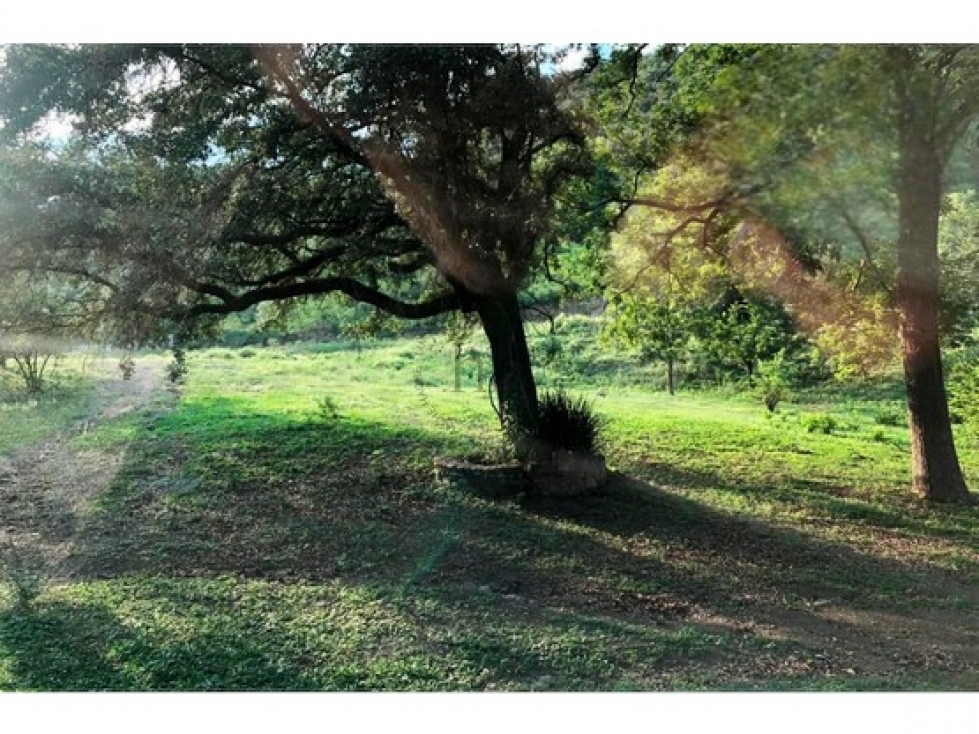 Terreno en venta en Barrial, Santiago N.L. — foto 4