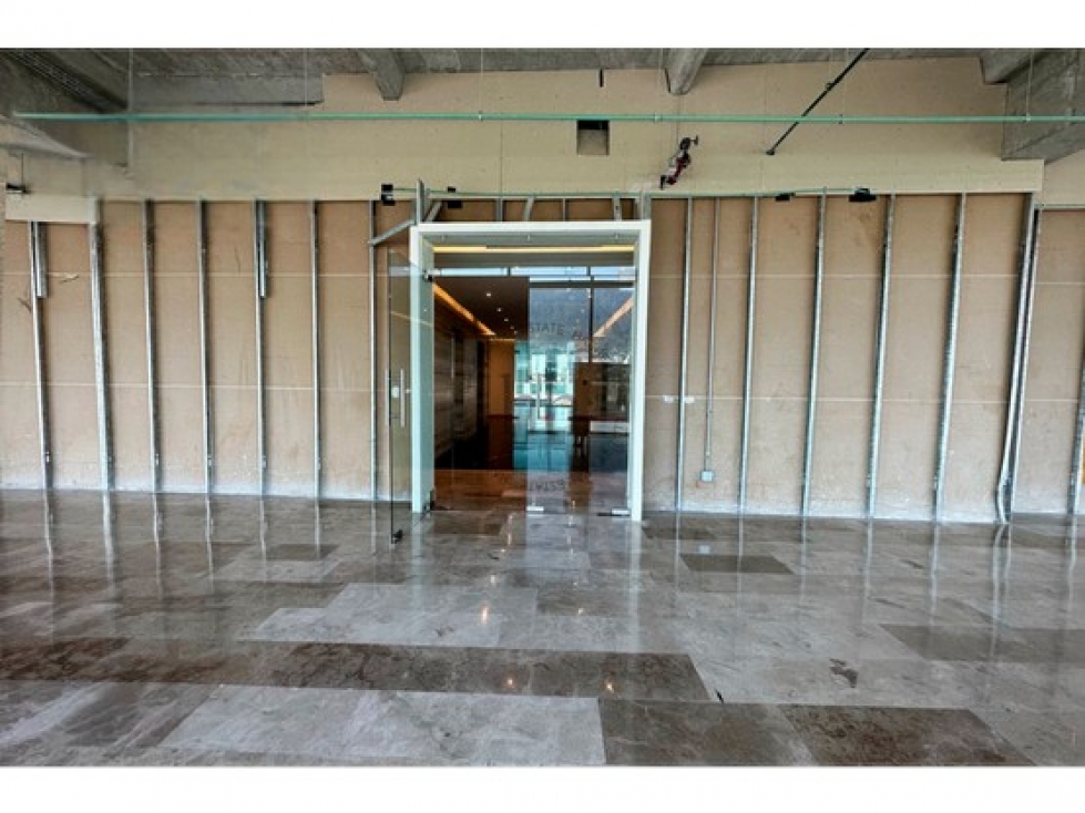 Oficinas en Renta en Corporativo, Col del Valle San Pedro Garza Garcia - 4