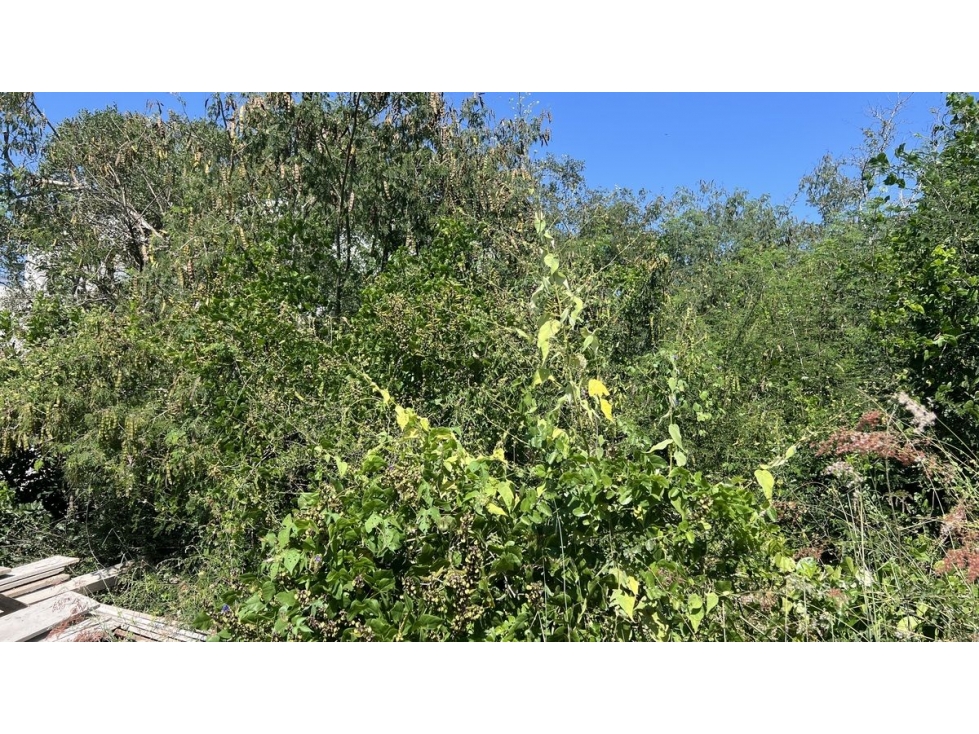 Terreno en venta Aysso, El Yerbaniz Santiago N.L. - 5