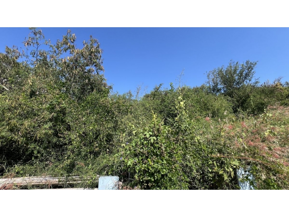 Terreno en venta Aysso, El Yerbaniz Santiago N.L. - 6