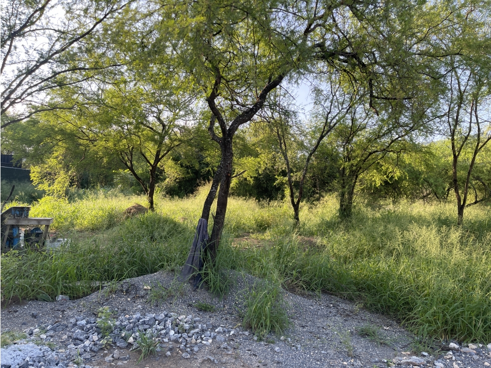 Terreno Comercial en Venta, El Uro Carretera Nacional, Monterrey — foto 4