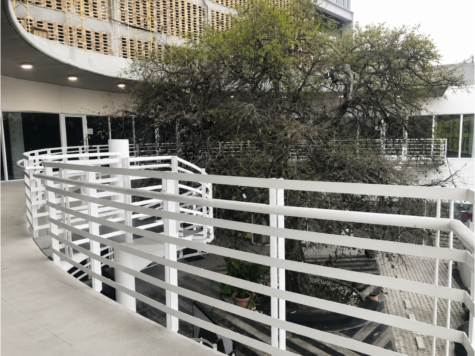 Local comercial en Venta en Monterrey limites con San Nicolas — foto 5