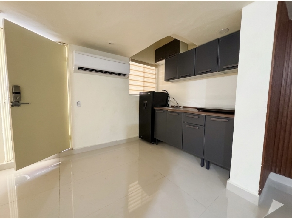 Loft en renta, amueblado, San Pedro, Nuevo Leon - 6