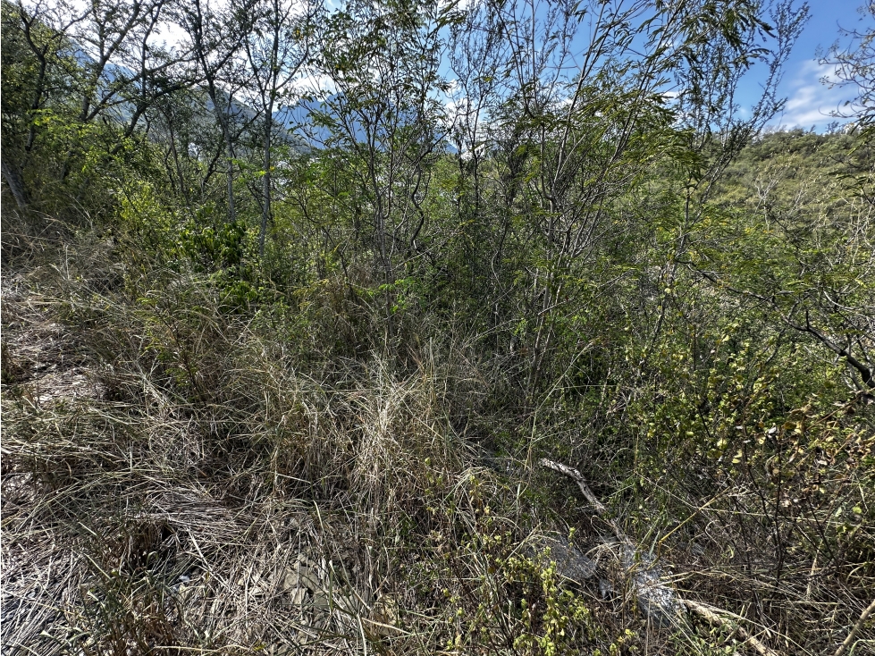 Terrenos en Venta en Bosques de Valle Alto, Monterrey N.L. — foto 6
