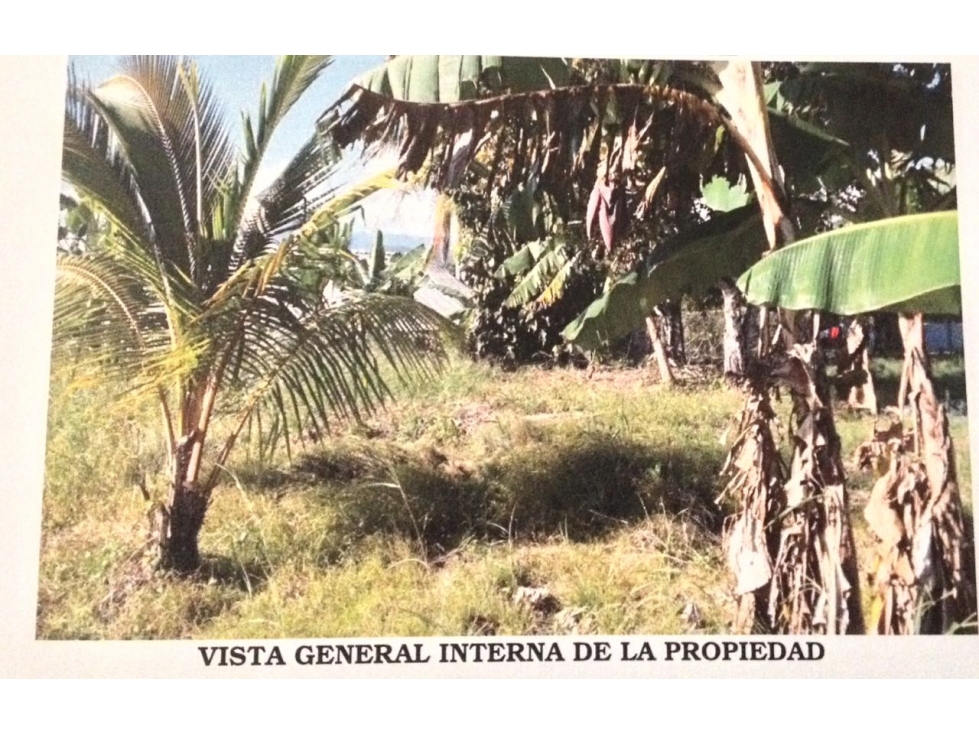 VENTA DE TERRENO EN CAPIRA - 4