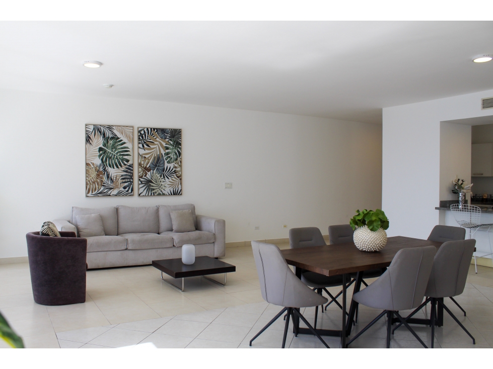 ALQUILER DE APARTAMENTO AMOBLADO AVENIDA BALBOA PH WATERS