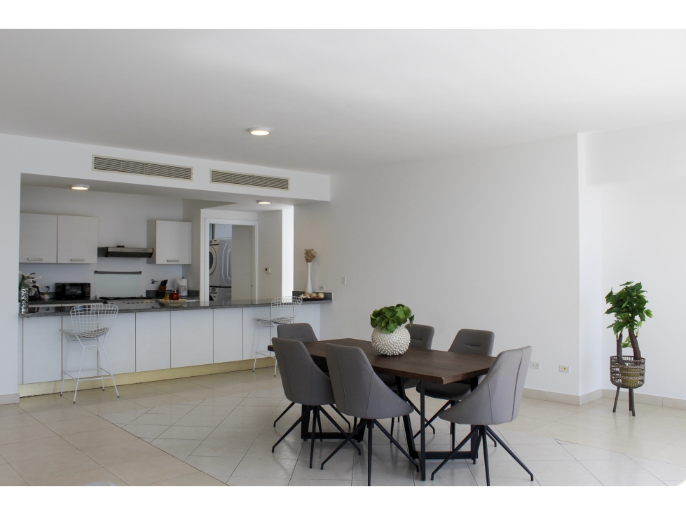 ALQUILER DE APARTAMENTO AMOBLADO AVENIDA BALBOA PH WATERS — foto 2