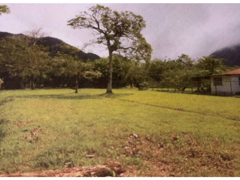 VENTA DE TERRENO EN VALLE DE ANTON - 2