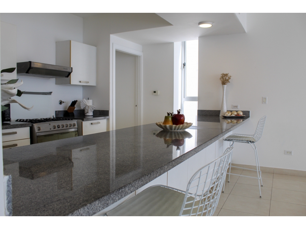 ALQUILER DE APARTAMENTO AMOBLADO AVENIDA BALBOA PH WATERS — foto 3