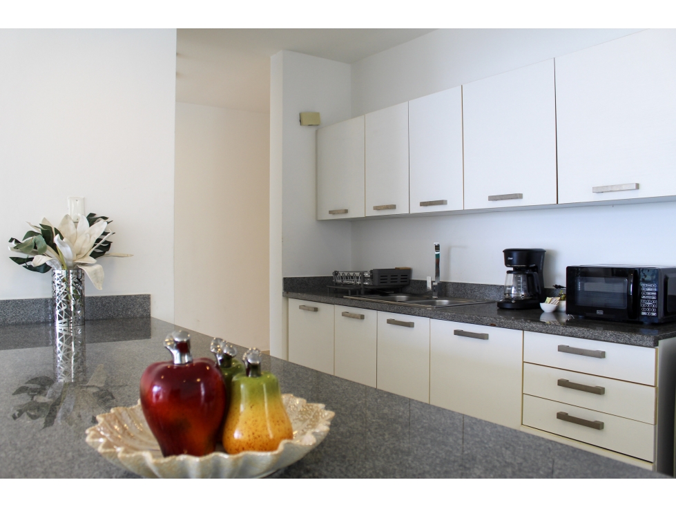 ALQUILER DE APARTAMENTO AMOBLADO AVENIDA BALBOA PH WATERS — foto 6