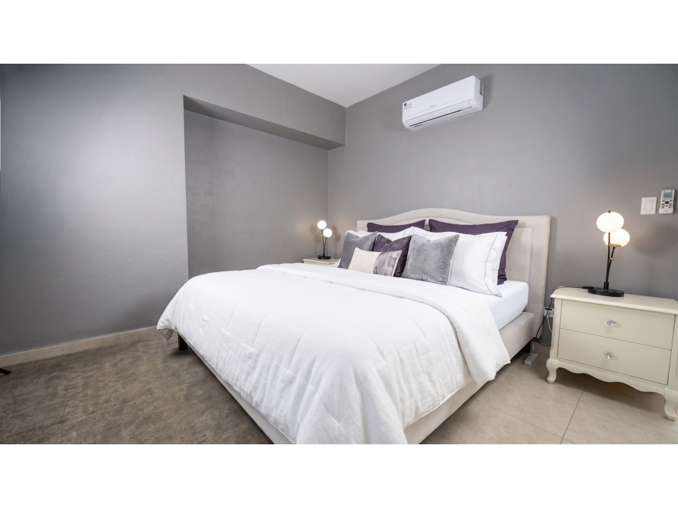 ALQUILER DE APARTAMENTO AMOBLADO AVENIDA BALBOA PH WATERS — foto 4