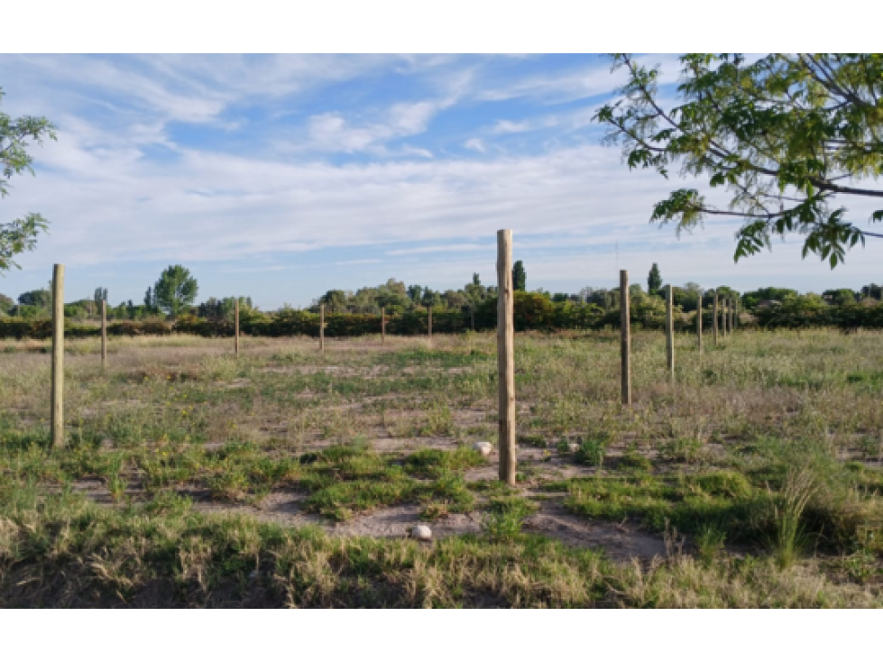 LOTE 517 M2 LOMAS DE CASCIA SAN RAFAEL MENDOZA - 1