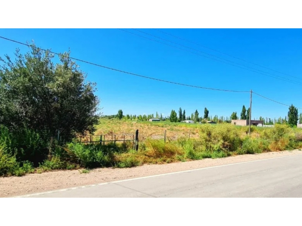 Terreno de 1,27 Ha en Venta Sobre Asfalto en Los Claveles, San Rafael - 1