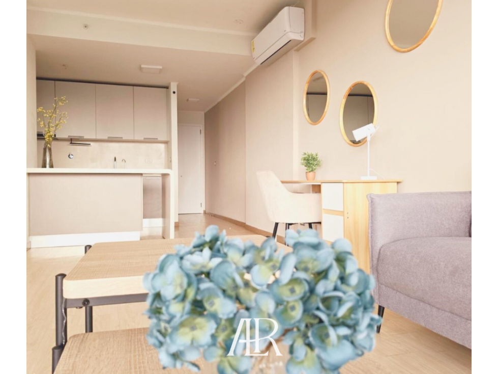 VENDO APARTAMENTO AMOBLADO EN COCO DEL MAR — foto 2