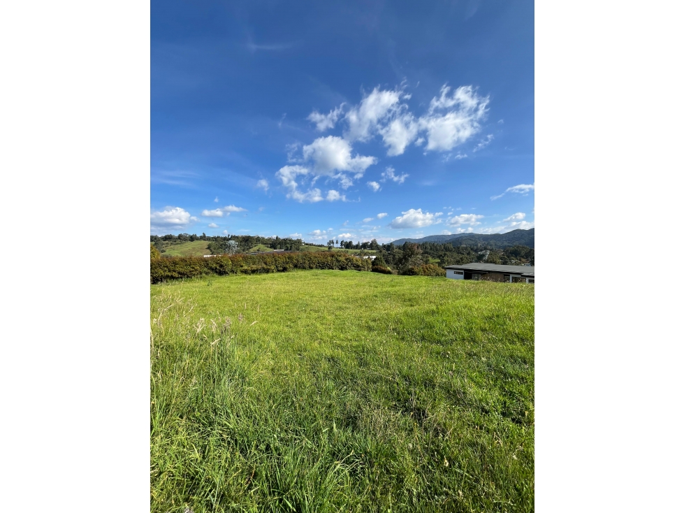 Lote en Alto de las Palmas