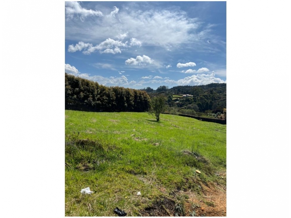LOTE con vecinos definidos/entrada compartida o independiente