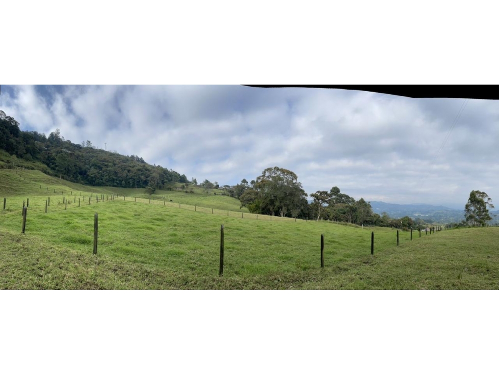 Lotes en pontezuela - el capiro