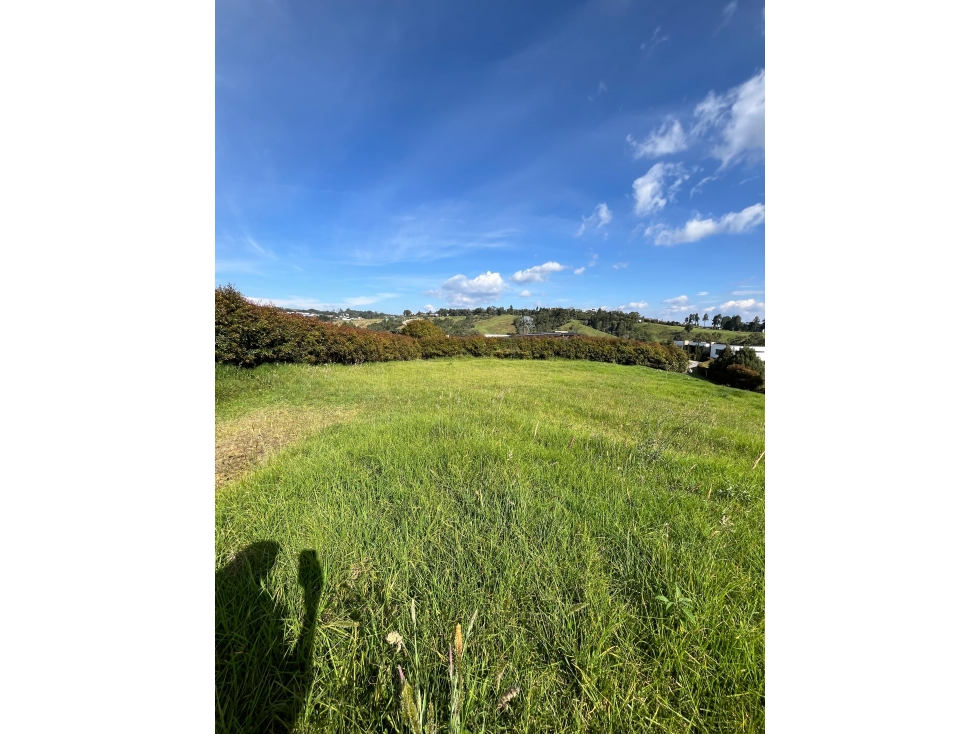 Lote en Alto de las Palmas — foto 2